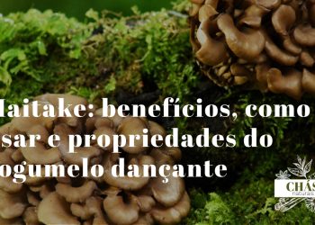 maitake benefícios — cogumelo Grifola frondosa fresco em forma de leque sobre fundo florestal