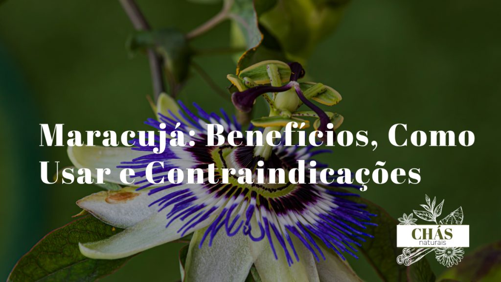 maracujá benefícios — frutos e folhas de maracujá passiflora com polpa aberta
