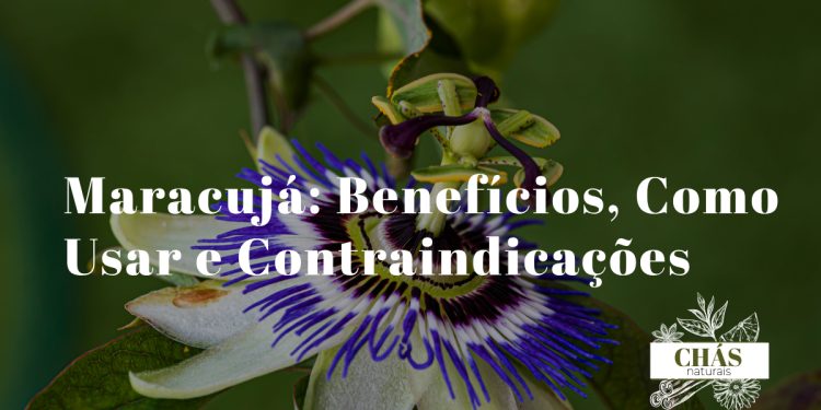 maracujá benefícios — frutos e folhas de maracujá passiflora com polpa aberta
