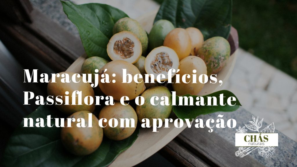 maracujá benefícios — flor de maracujá Passiflora incarnata com pétalas lilases