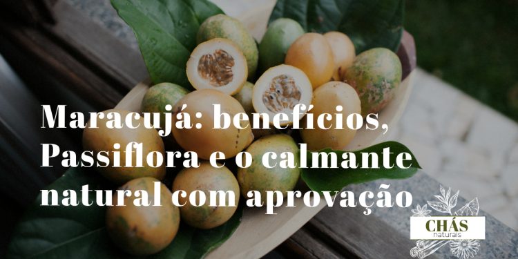maracujá benefícios — flor de maracujá Passiflora incarnata com pétalas lilases