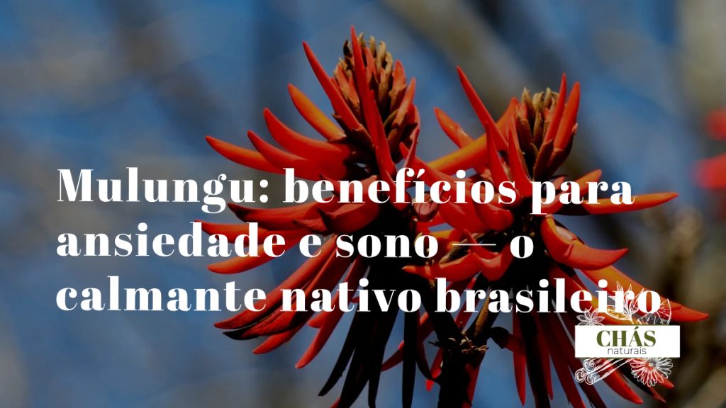 mulungu benefícios — flores laranjas da árvore Erythrina mulungu em floração