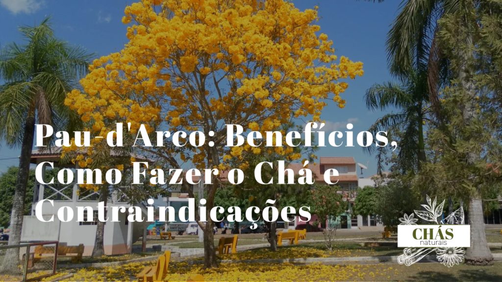 pau-d'arco benefícios — casca de ipê-roxo Tabebuia seca e chávena de chá