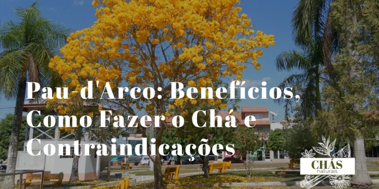 pau-d'arco benefícios — casca de ipê-roxo Tabebuia seca e chávena de chá
