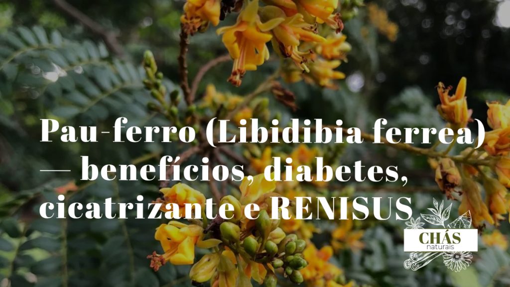 pau-ferro benefícios — casca manchada de Libidibia ferrea com padrão de leopardo
