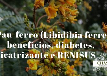 pau-ferro benefícios — casca manchada de Libidibia ferrea com padrão de leopardo