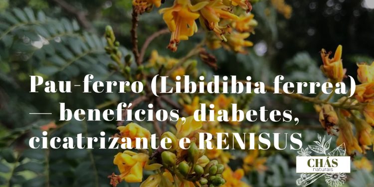 pau-ferro benefícios — casca manchada de Libidibia ferrea com padrão de leopardo