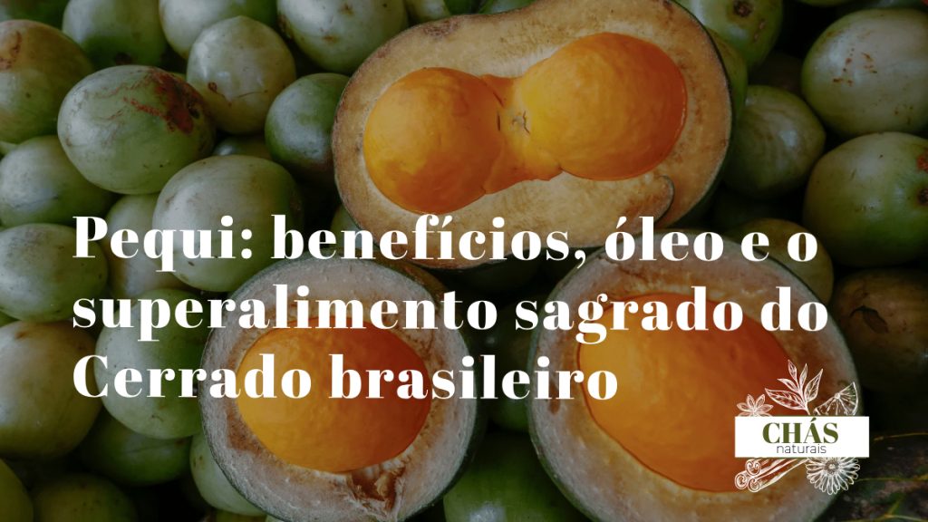 pequi benefícios — frutos de Caryocar brasiliense com polpa alaranjada no Cerrado