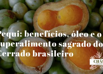 pequi benefícios — frutos de Caryocar brasiliense com polpa alaranjada no Cerrado