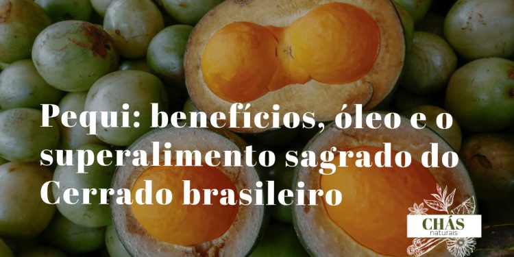 pequi benefícios — frutos de Caryocar brasiliense com polpa alaranjada no Cerrado