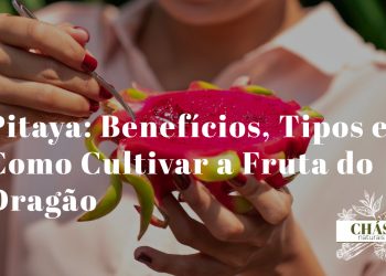 pitaya benefícios — fruta do dragão Hylocereus cortada a mostrar polpa vermelha e sementes pretas