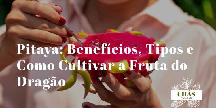 pitaya benefícios — fruta do dragão Hylocereus cortada a mostrar polpa vermelha e sementes pretas