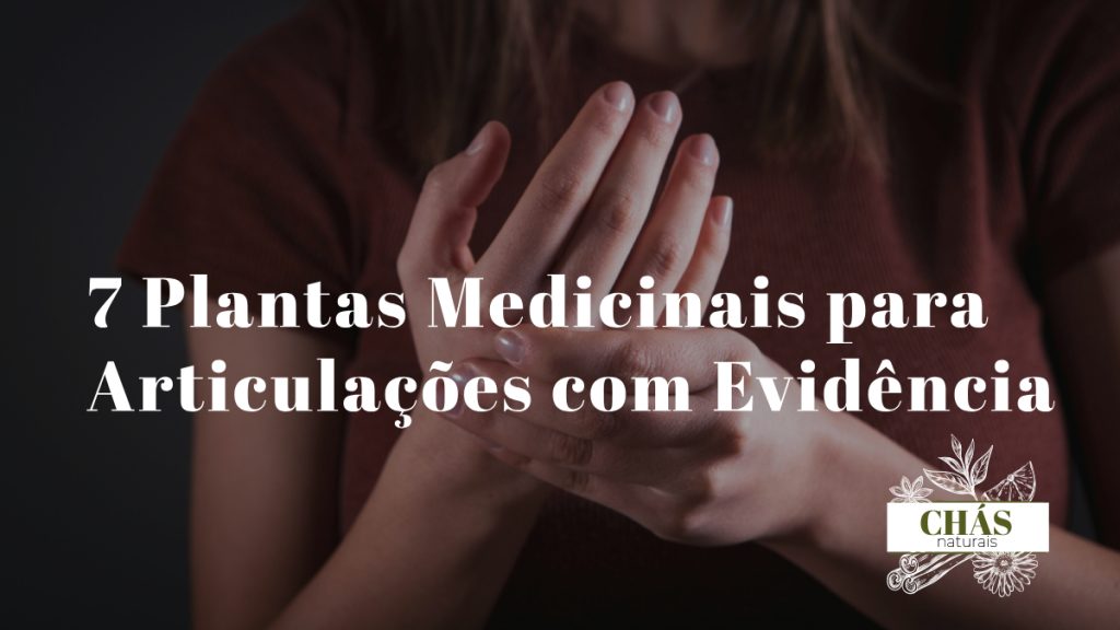 plantas medicinais para articulações — cúrcuma gengibre boswellia e sucupira para saúde articular