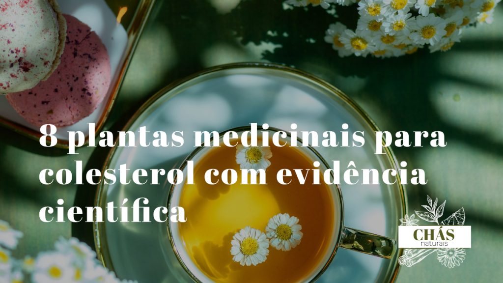 plantas medicinais para colesterol — seleção de plantas e especiarias hipolipidemiantes naturais