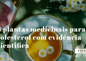plantas medicinais para colesterol — seleção de plantas e especiarias hipolipidemiantes naturais