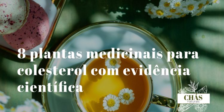 plantas medicinais para colesterol — seleção de plantas e especiarias hipolipidemiantes naturais