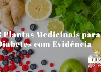 plantas medicinais para diabetes — ervas hipoglicemiantes com medidor de glicose