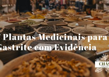 plantas medicinais para gastrite — espinheira-santa malva aloe vera e ervas digestivas naturais