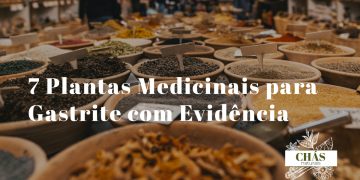 plantas medicinais para gastrite — espinheira-santa malva aloe vera e ervas digestivas naturais