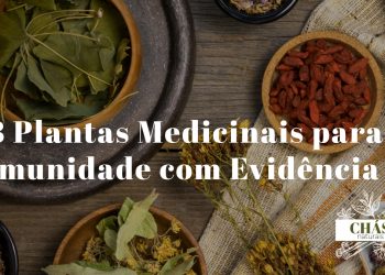 plantas medicinais para imunidade — equinácea alho gengibre e ervas imunoestimulantes naturais
