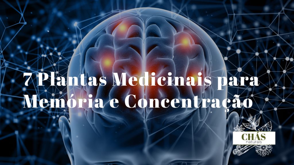 plantas medicinais para memória — ginkgo biloba lion's mane bacopa e ervas cognitivas naturais
