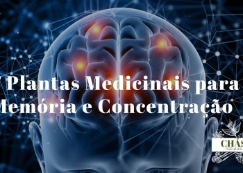 plantas medicinais para memória — ginkgo biloba lion's mane bacopa e ervas cognitivas naturais