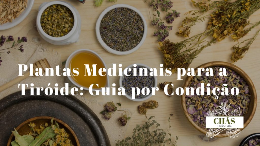 plantas medicinais para tiróide — ashwagandha melissa fucus e ervas para saúde tiroideia
