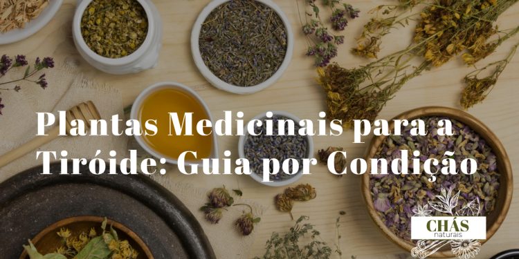 plantas medicinais para tiróide — ashwagandha melissa fucus e ervas para saúde tiroideia