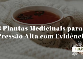 plantas medicinais para pressão alta — seleção de ervas e plantas hipotensoras naturais