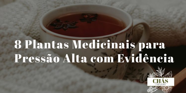 plantas medicinais para pressão alta — seleção de ervas e plantas hipotensoras naturais