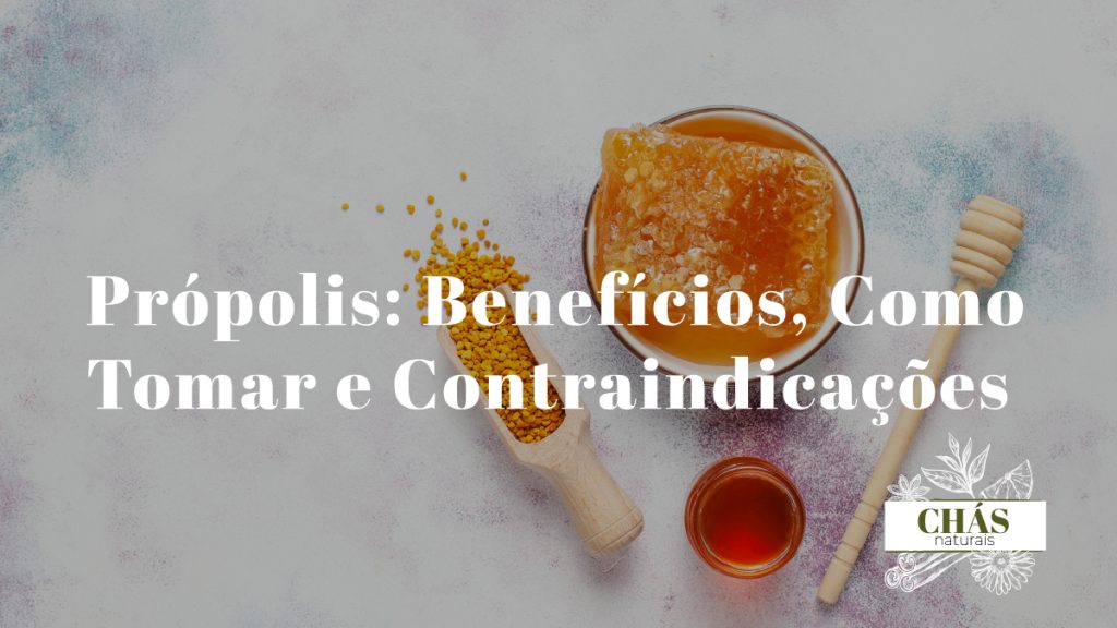 própolis benefícios — extrato de própolis verde em frasco com favos de mel