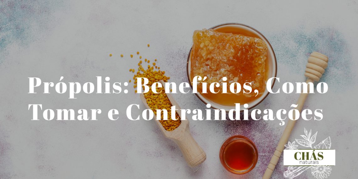 Própolis: Benefícios, Como Tomar e Contraindicações