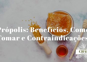 própolis benefícios — extrato de própolis verde em frasco com favos de mel