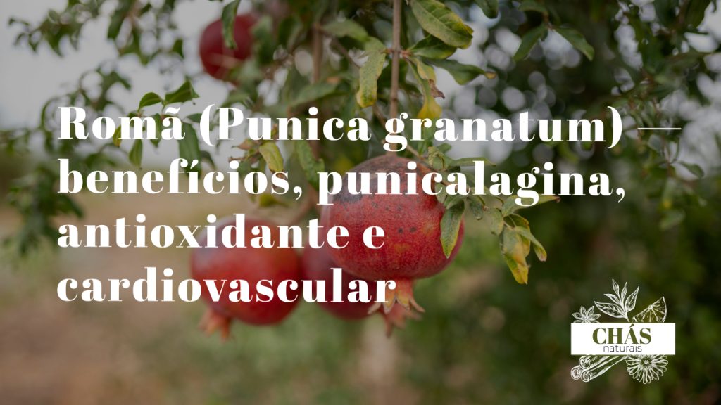 romã benefícios — frutos vermelhos de Punica granatum cortados a mostrar os bagos e a polpa