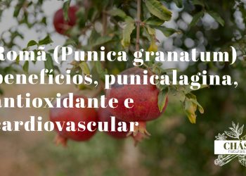 romã benefícios — frutos vermelhos de Punica granatum cortados a mostrar os bagos e a polpa
