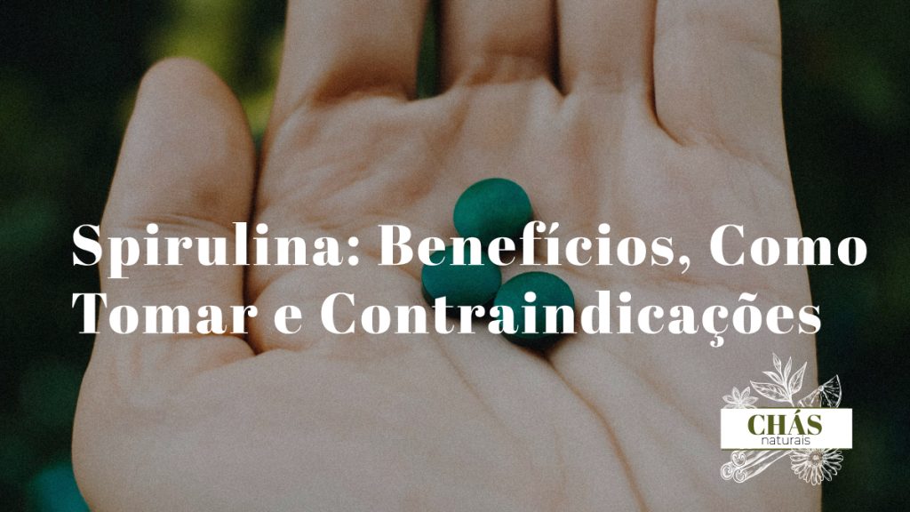 spirulina benefícios — pó de spirulina azul-esverdeado em colher com cápsulas