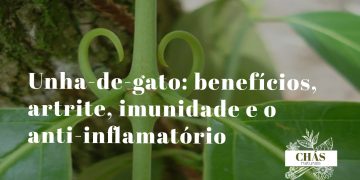 unha-de-gato benefícios — liana Uncaria tomentosa com espinhos em floresta amazónica