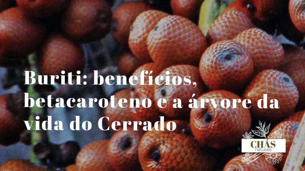 buriti benefícios — frutos alaranjados de Mauritia flexuosa no buritizeiro do Cerrado brasileiro