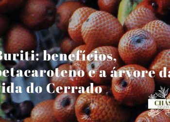 buriti benefícios — frutos alaranjados de Mauritia flexuosa no buritizeiro do Cerrado brasileiro
