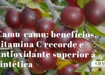 camu-camu benefícios — frutos vermelhos de Myrciaria dubia nas margens da floresta amazónica