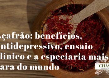 açafrão benefícios — estigmas vermelhos secos de Crocus sativus especiaria mais cara do mundo com crocina