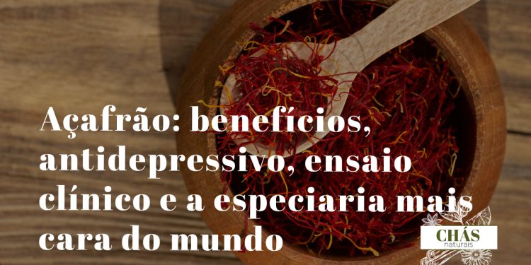 açafrão benefícios — estigmas vermelhos secos de Crocus sativus especiaria mais cara do mundo com crocina