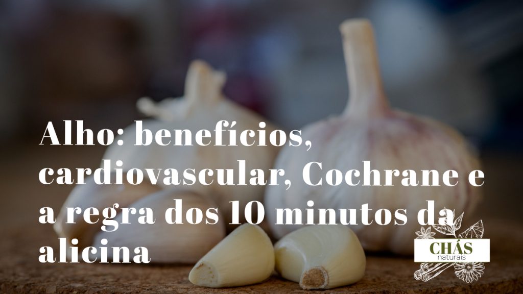 alho benefícios — dentes de alho fresco Allium sativum com casca branca alimento funcional OMS