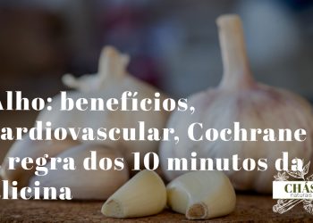 alho benefícios — dentes de alho fresco Allium sativum com casca branca alimento funcional OMS