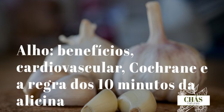 alho benefícios — dentes de alho fresco Allium sativum com casca branca alimento funcional OMS