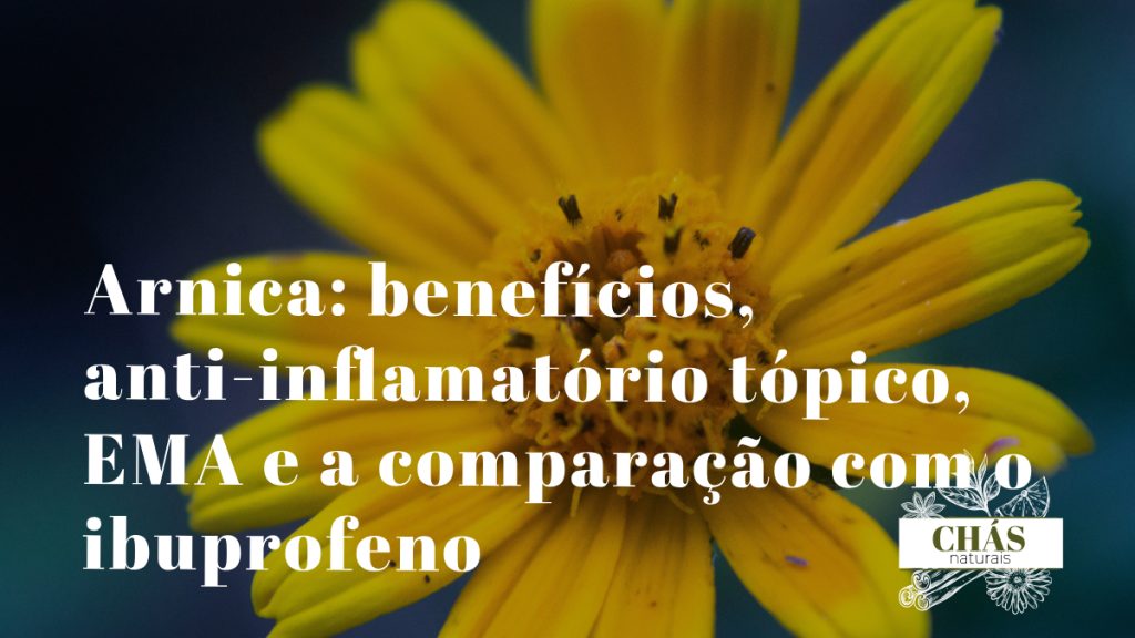arnica benefícios — flores amarelas de Arnica montana planta alpina anti-inflamatória tópica com monografia EMA
