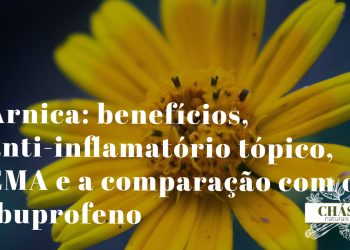 arnica benefícios — flores amarelas de Arnica montana planta alpina anti-inflamatória tópica com monografia EMA