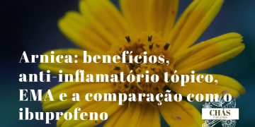 arnica benefícios — flores amarelas de Arnica montana planta alpina anti-inflamatória tópica com monografia EMA