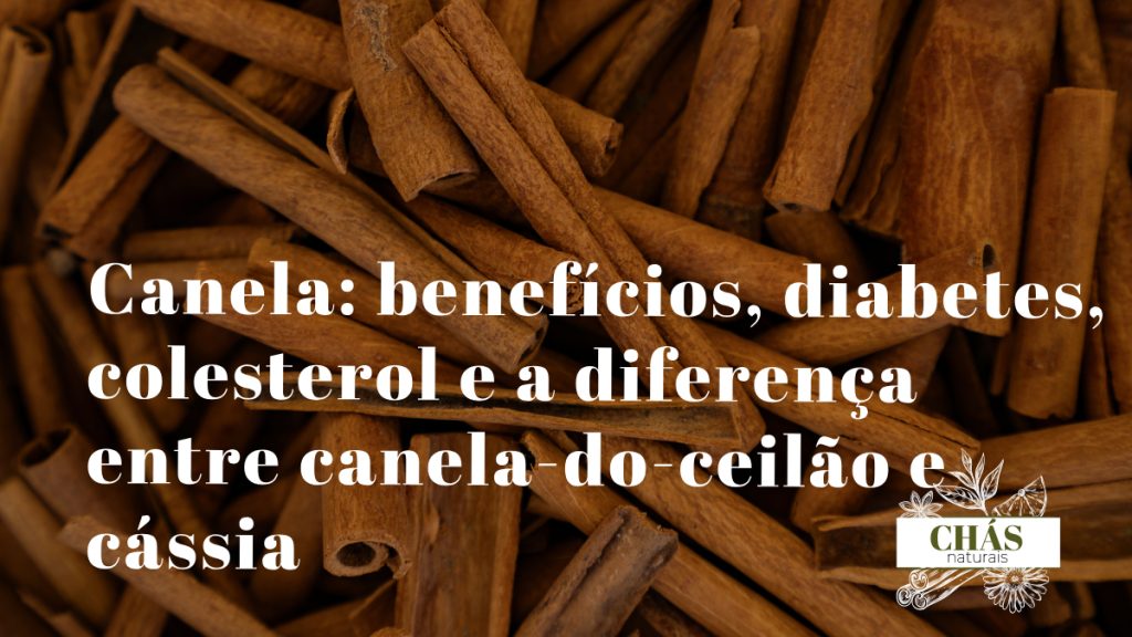 canela benefícios — paus de canela-do-ceilão Cinnamomum verum enrolados em múltiplas camadas finas