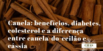 canela benefícios — paus de canela-do-ceilão Cinnamomum verum enrolados em múltiplas camadas finas